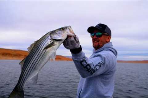 Epic Striped Bass Fishing on Lake Powell! +60 Fish Day – My Best Day Ever!