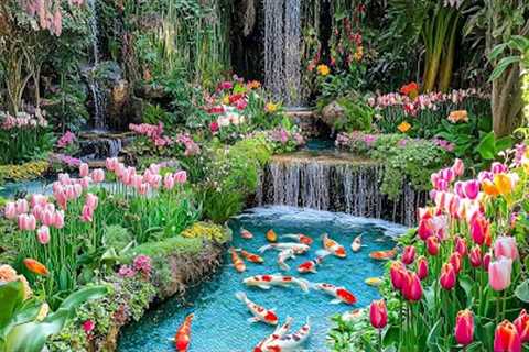 Music cures cardiovascular disease💓 Great Mind Relaxing Music To Reduce Stress 🌷 Positive..
