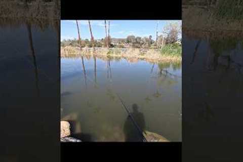 All jokes 🤣 #fishing #outdoors #lakefishing #bassfishing #fishingvideo #santeelakes #water #joke