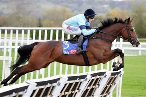 VALGRAND dazzles for team Skelton at Cheltenham