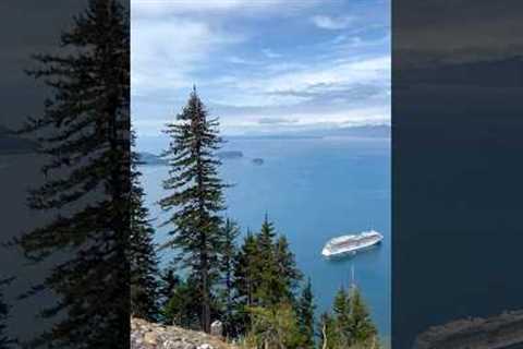 Here are 3 first time Alaska cruise tips you need to know when planning your trip. #cruise #shorts
