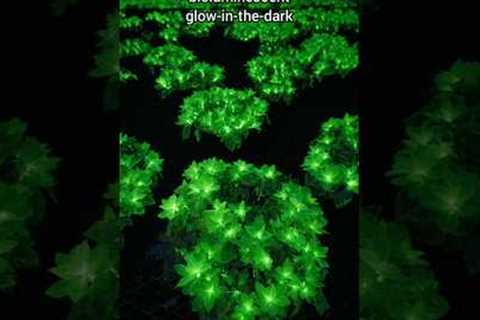 These Flowers Glow!😅 #Short #Shorts #Landscape #Gardening #Viral #Viralvideo #Cool @BigfootVS