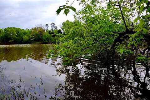 April Crappie Fishing are They Still in the Creeks