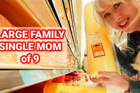 Shop with me at America's Cheapest Grocery Store April 2025