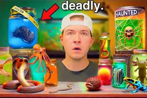 I Bought Haunted Live Sea Creatures Off The Dark Web…