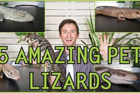 Five of the Best Pet Lizards You Could Possibly Get!
