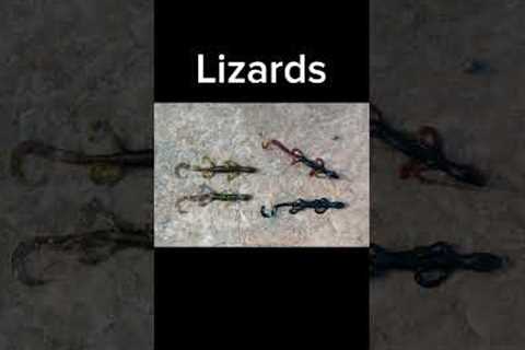 My top 5 favorite lures for spring
