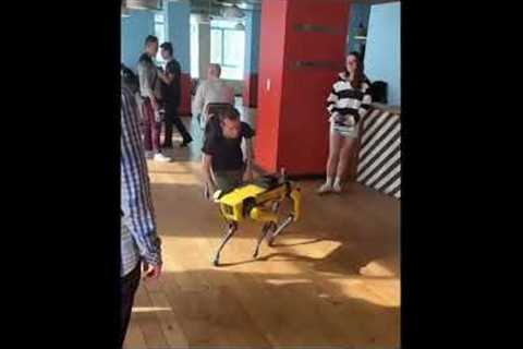 ETH King Vitalik Buterin meows at robot dog - Ethereum's quirky moment!
