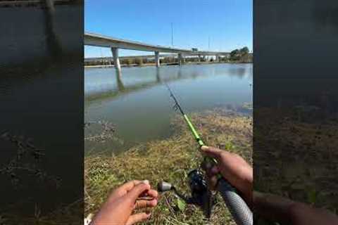 It be like that sometimes 😭 #fishing