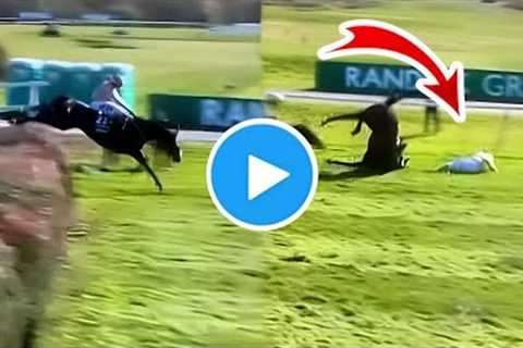 Grand National 2025 : Grand National Broadway Boy fall | Grand National horse Broadway Boy fall