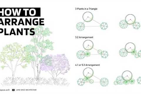 How to Arrange Plants for Landscape Design