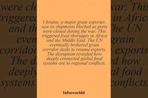 Russia Ukraine War Led to a Global Food Crisis
