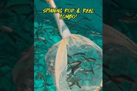 HOW TO Fish For BEGINNERS Guide!! #shorts #fishing
