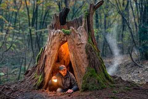 Building a Warm and Cozy Secret Shelter Deep Inside a large Tree. Bushcraft, Survival, Dugout.
