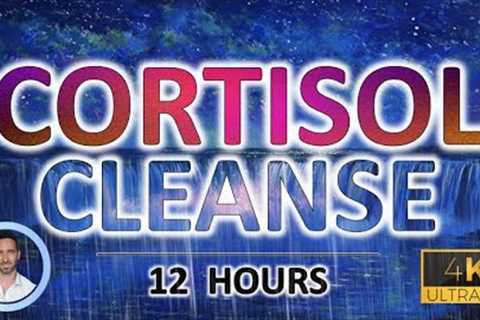 Calming Cortisol Cleanse | Sound Therapy for Deep Sleep | Reduce Cortisol &amp; Anxiety | 12 Hours |