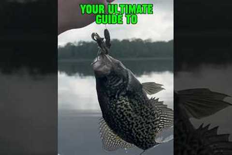 Your Ultimate Guide To SPRING Fishing!! 🎣 #shorts #fishing #springfishing