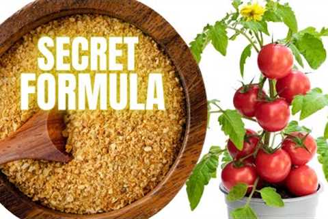 SECRET POWDER That Boost Plant Growth Prevents Disease And Keeps Pest Away!!!