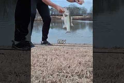 Fishing w/ RANDOM lures STUCK IN TREES #shorts #fishing #bassfishing #bass #kayakfishing
