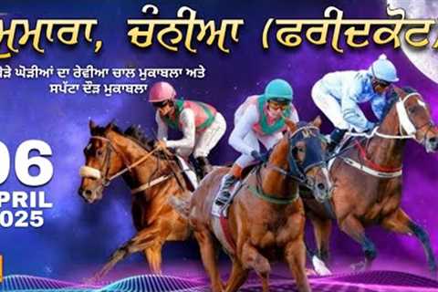 🔴[LIVE] Chanian - Mumara | Faridkot | Ox Races | 06 April 2025