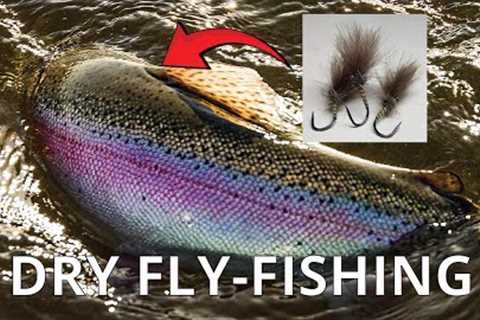 My Top Dry Fly Tips for More Takes [Especially When It’s Tough!] Dry Fly-Fishing for Trout