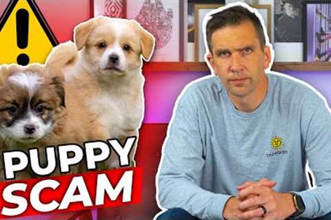 Watch Out For Puppy Scammers!