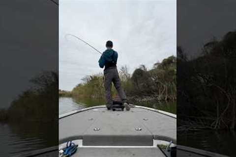Yessss!💪🏼🔥🎣 #fishboat #fishing #lake #outdoors #sportfishing #fish #rap #hiphop #music