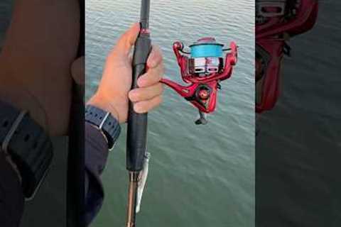 Perfection!👏🏻🔥🎣 #lake #fishing #outdoors #bassfishing #angler #reels
