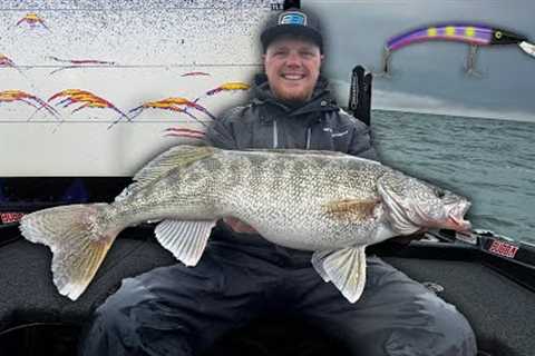 BEST Technique for Fishing Schools of GIANT Lake Erie Walleyes!