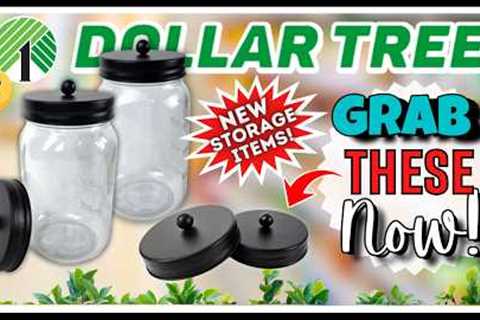 NEW DOLLAR TREE Haul Items JUST HIT the Shelves! NEW Finds Never Seen Before! Grab Them NOW!