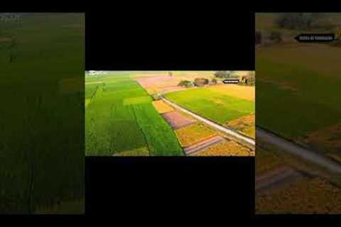 Dji air2 recording. The drone camera is very beauty fuel🥰