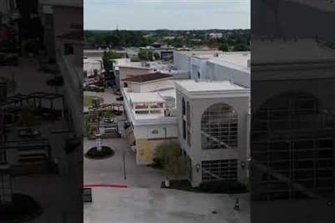 Dji mini 4, was that a Bird attack? #beltfpv #quadcopter #vallejo #drone #djidrone #dji