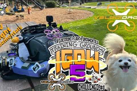 Velocidrone Flight Fundamentals: IGOW5 Preseason Training Grounds Challenge #0