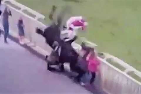Horse Racing Accident - Horse Collides with Spectators
