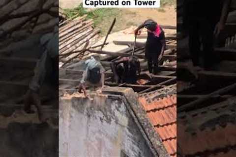 village captured on Tower #peak #viral #channarayapatna #hassan #nature #earth #photography #views