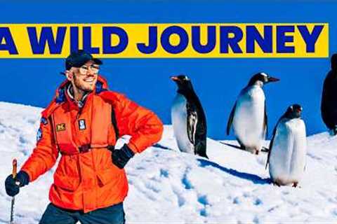 We Cruise to The Land of a MILLION Penguins! Antarctica Cruise
