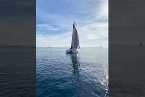Toby Hodges spots the new Lagoon 43 while testing the J40 for the European Yacht of the Year Awards.