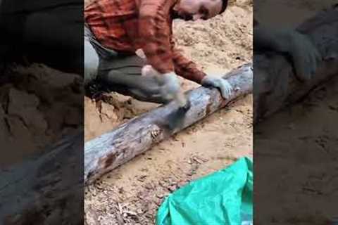 Secret Underground Home in the Forest #survival #bushcraft #shelter #building #underground #skills