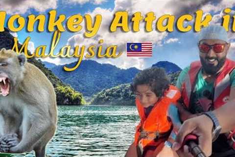 Langkawi Island Hopping Tour 2025 | Jungle Trekking, Eagle Feeding &amp; More! #episode4