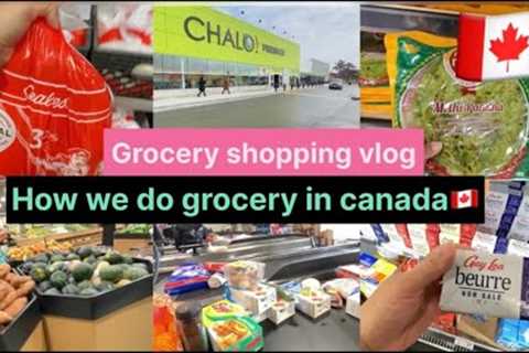 Canada Grocery shopping vlog🇨🇦 | Grocery shop with me🇨🇦| Grocery price💵| Canada vlogs