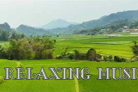Beautiful melody, New relaxing music helps reduce stress, music for relaxation, peace and happiness