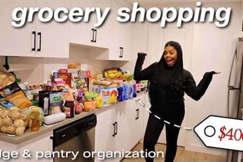 GROCERY SHOPPING FOR MY NEW APARTMENT! huge haul + fridge &amp; pantry organization | moving series ..