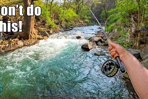 5 Things to Avoid While Fly Fishing! (How to fly fish for trout)