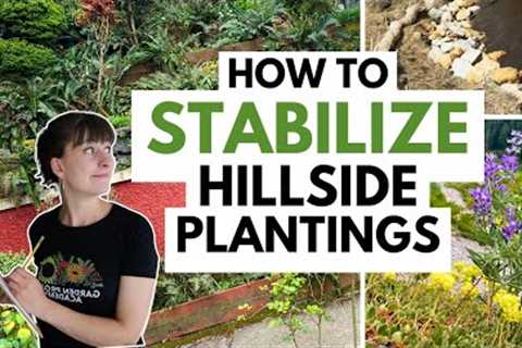 Landscape Design PLANTING Strategy for Slopes and Steep Hillsides