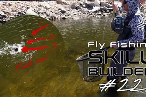 Swinging Wet Flies with Lance Egan! | Fly Fishing Skill Builder #22