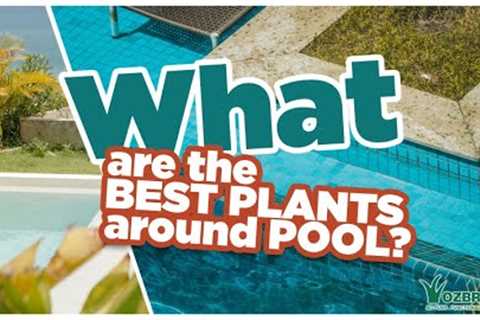 Best Poolside Plants: Create a Stunning Oasis Around Your Pool!