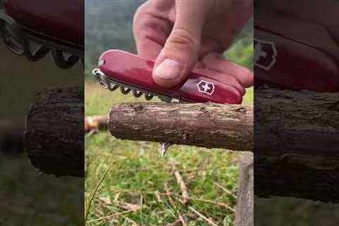 An Incredible Survival Trick with Victorinox Swiss Army Knife #survival