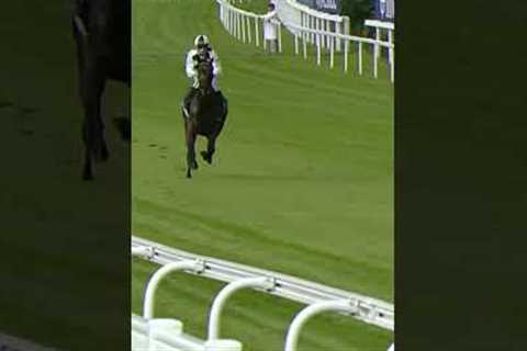 Jockey falls off horse at 40mph #horse #horseracing #racingtv #sport #britishhorseracing