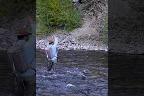 How To Fly Fish Fast Moving Water