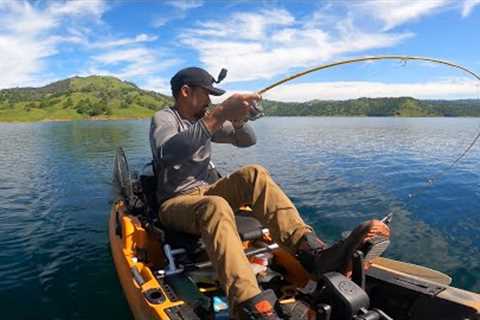 Wasn't Expecting This - Catch and Cook on the Kayak