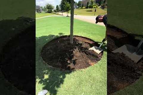 Is this the perfect DIY tree ring edging hack?